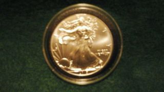 2013 $1 American Silver Eagle 1 Oz.  (brilliant Uncirculated) In Airtight Case. photo