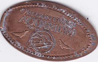 Oregon Coast Aquarium (seals) Zinc/horizontal Ec 268 photo
