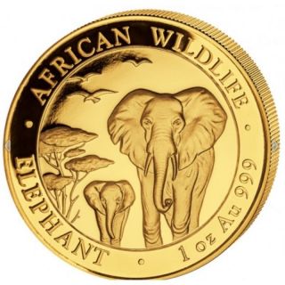 2015 1 Oz Somali African Wildlife Elephant Gold Coin Bu photo