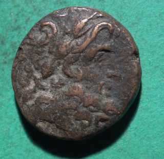 Tater Roman Provincial Ae19 Coin Zeus & Ram Syria Seleucis And Pieria Antioch photo