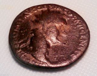 Domitian,  81 - 96 Ad.  Orichalcum Æ Dupondius photo