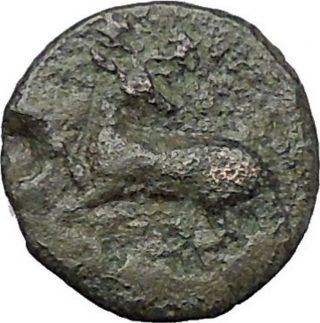 Ephesus In Ionia 350bc Authentic Ancient Greek Coin Bee Stag I49577 photo