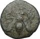 Ephesus In Ionia 350bc Authentic Ancient Greek Coin Bee Stag I49577 Coins: Ancient photo 1