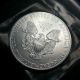 2012 Silver American Eagle Bullion Coin Ch Bu 1 Troy Oz Silver photo 1