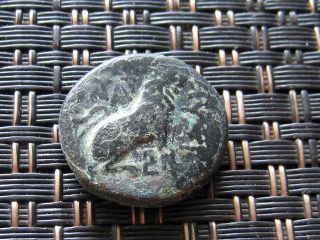 Greek City Of Lysimacheia In Thrace 309 - 220 Bc Tyche / Lion Ancient Greek Coin photo