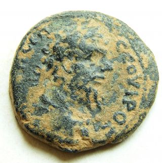 12 Septimius Severus photo