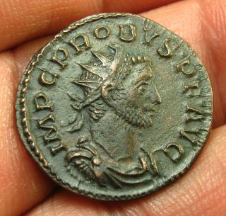 Probus - Ae Antoninianus - Comes Avg - Minerva photo