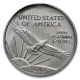 2007 1/10th Oz Platinum American Eagle Coin Platinum photo 1