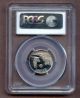 1998 - W Pcgs Pr70dcam Statue Of Liberty $25 Platinum 1/4 Oz Coin Platinum photo 2
