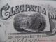 1890 Cleopatra Mining Company Castle Montana Stock Certificate Gold Silver Mine Stocks & Bonds, Scripophily photo 5