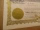 1924 Park Prospecting Co Livingston Montana Mining Stock Certificate Gold Silver Stocks & Bonds, Scripophily photo 1