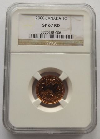 2000 Canada One Cent Ngc Sp67 Rd Frosted Penny Frosted Finish Rare photo