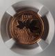2000 Canada One Cent Ngc Sp67 Rd Frosted Penny Frosted Finish Rare Coins: Canada photo 2