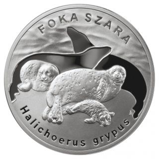 Poland - 20zl - 2007 - Grey Seal photo