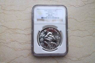 Ngc Ms69 China 1996 1 Oz Silver Panda Coin - Small Date (from Shanghai) photo