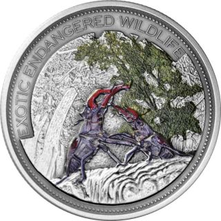 Fiji 2014 10$ High Relief Stag Beetle Satined Antique Finish 2 Oz Silver Coin photo