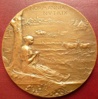 Art Nouveau Dated 1896 Large French Gilded Bronze Medal By O.  Roty photo