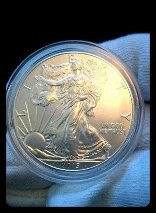 2015 American Silver Eagle 1 Oz photo