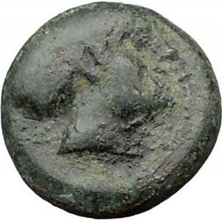 Cyzikus In Asia Minor 4th Cent Bc Ancient Greeek Coin Healer Apollo Lyre I31832 photo