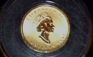 1997 1/10 Oz Family Privy Gold Canadian Maple Leaf photo