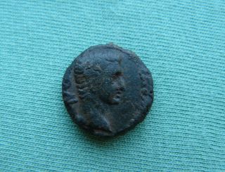 Augustus,  Macedonia,  Phillipi,  14 Ad.  Bronze.  Two Priests With Oxes. photo