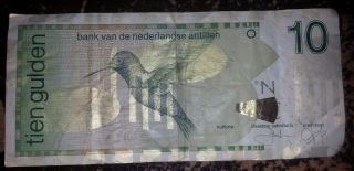 Netherlands Antilles 2003 10 Gulden - Hummingbird photo