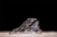 Niue 2015 $1 Meteor Wolfe Creek Crater Meteorite 1 Oz Silver Coin Limit 666 Australia & Oceania photo 4