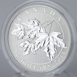 Canada 2015 $10 Maple Leaves 1/2 Oz.  9999 Pure Silver Numismatic Specimen Coin photo