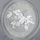 Canada 2015 $10 Maple Leaves 1/2 Oz.  9999 Pure Silver Numismatic Specimen Coin Coins: Canada photo 1