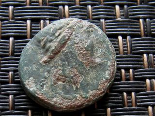 Antiochos Iii Megas 223 - 187 Bc 