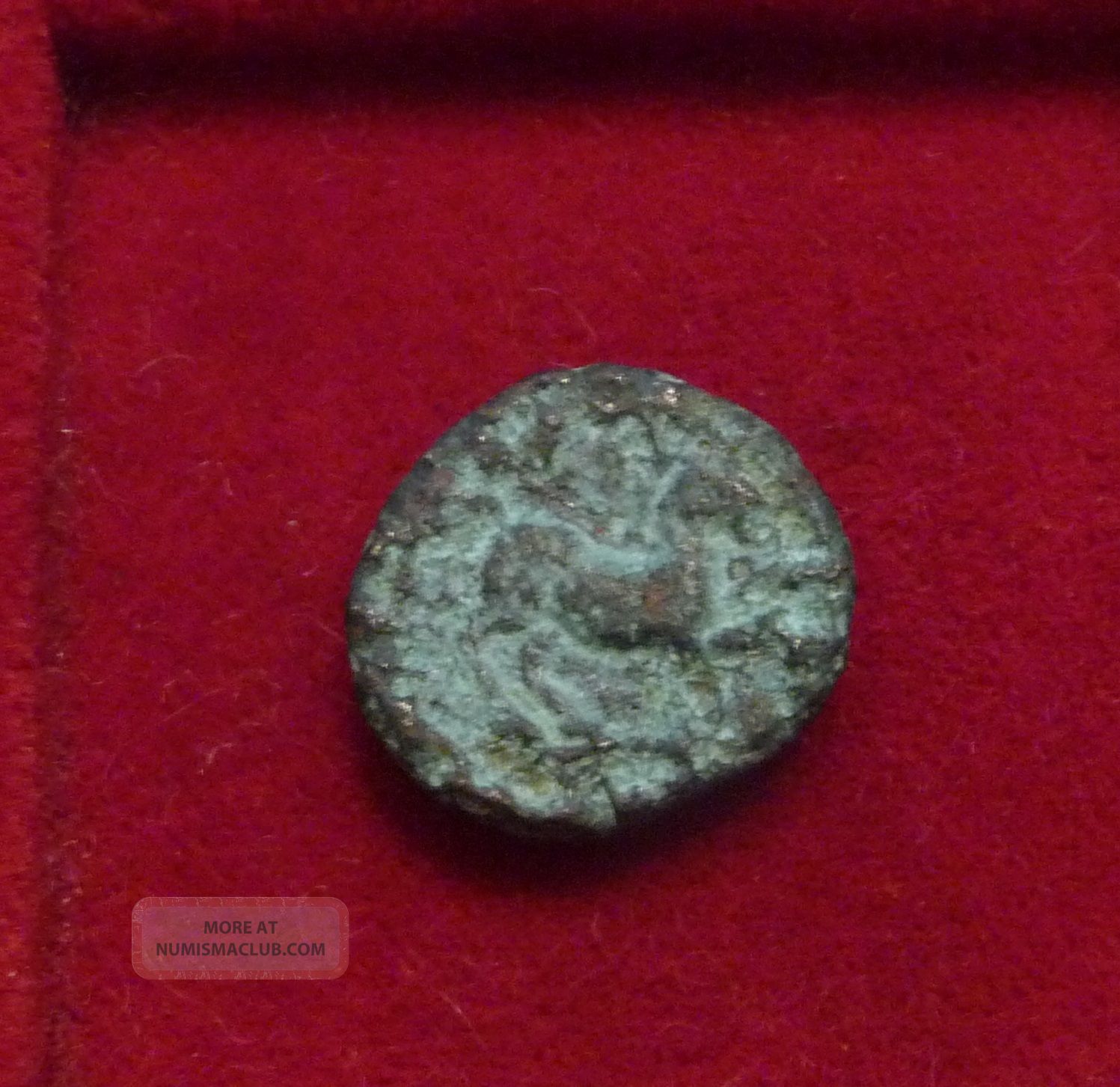 Ancient Greek Bronze Coin Goat Or Horse Prancing Æ15
