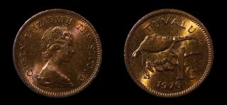 Tuvalu 1 Cent 1976 Elizabeth Ii Km 1 Red/brown Rb,  Low Mintage,  First Year Type photo
