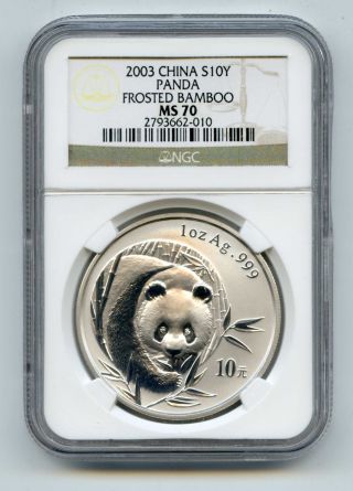 2003 China Silver 10 Yuan Panda Frosted Bamboo Ms 70 Ngc Key Variety Rare photo