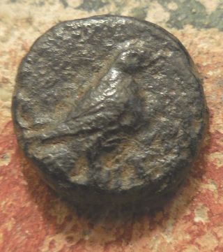 10 Mm,  1.  3 G Aeolis,  Kyme,  350 - 250 Bc.  Obv.  Eagle / K - Y Cup With One Handle photo