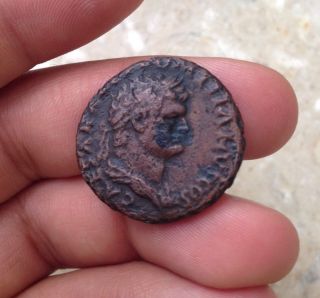 Domitian Roman Imperial Coin As 81 - 96 Ad photo