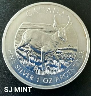 2013 Pronghorn Antelope Canada Wildlife Series Bu $5 Coin 1 Oz.  Silver.  9999 photo