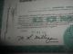 1958 Studebaker Packard Corp Automobile Car Stock Certificate 100 Share Green Transportation photo 2