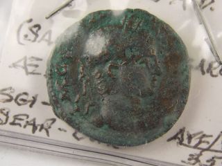 Ancient Coin Severus Alexander Augustus 222 - 235 Ad Samaria Caesarea photo