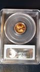 1988 P $5 Gold Eagle Pcgs Pr69dcam Deep Cameo Pf Proof Tenth Ounce 1/10 Oz Coin Gold photo 1