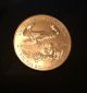 2013 Gold American Eagle 1 Oz Bullion Coin Gold photo 5