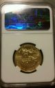 1/2 Oz 2010 Gold American Eagle Ms - 70 Ngc Gold photo 1