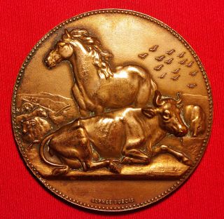 Bronze Medal By Alphee Dubois (1831 - 1905) Offered By The Deputy Robert Buron photo