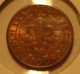 1939 1 Gr Poland Bronze Coin Europe photo 1