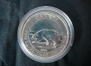 2013 1 1/2 Oz Silver Coin Canadian Polar Bear photo