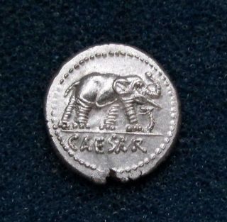 Ancient Roman Silver Elephant Denarius Coin Of Julius Caesar - 49 Bc photo