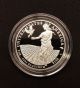 2011 Us Platinum American Eagle 1 Oz $100 Proof Coin Preamble Series - Ogp Platinum photo 1