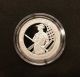 2012 Us Platinum American Eagle 1 Oz $100 Proof Coin Preamble Series - Ogp Platinum photo 1