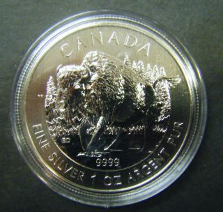 2013 Canada $5 Wood Bison Wild Life Series 1oz.  9999 Fine Silver Bullion Coin photo