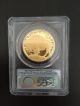 2009 W $50 1 Oz Proof Gold Buffalo Coin.  9999 Pcgs Pr 69 Dcam First Strike Gold photo 1