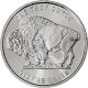 (1) Buffalo Indian 1 Oz.  999 Fine Silver Coin One Troy Ounce, . Silver photo 2